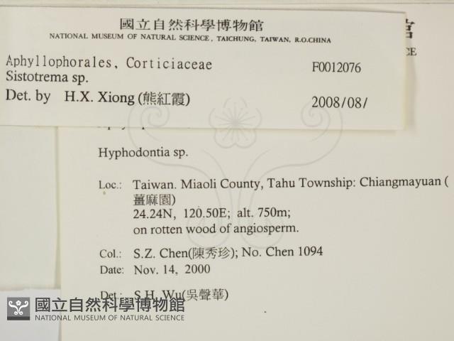 登錄號:F0012076藏品圖，第2張