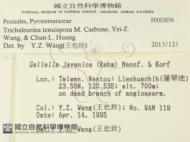 登錄號:F0003076藏品圖，第2張