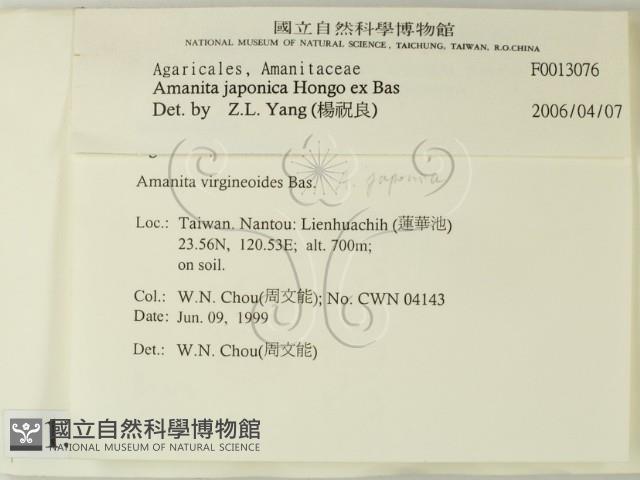 登錄號:F0013076藏品圖，第2張