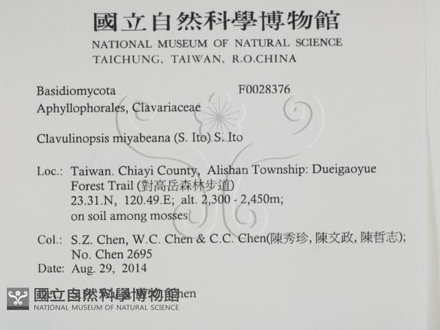 登錄號:F0028376藏品圖，第2張