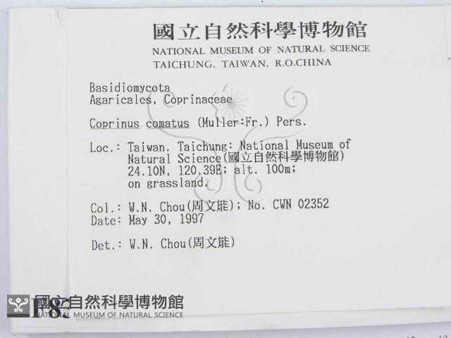 登錄號:F0008376藏品圖，第2張