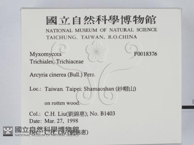 登錄號:F0018376藏品圖，第2張