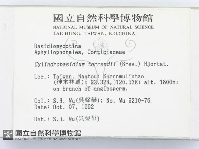 登錄號:F0000376藏品圖，第2張