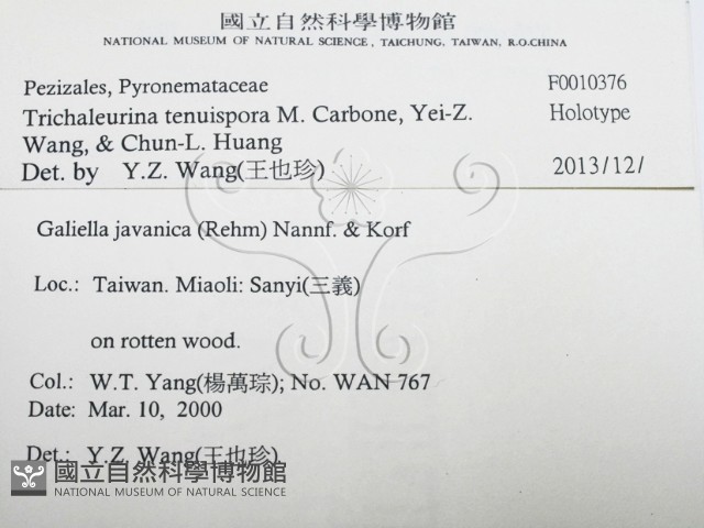 登錄號:F0010376藏品圖，第2張