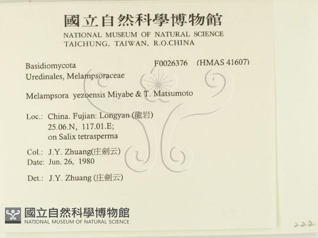 登錄號:F0026376藏品圖，第2張