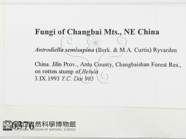 登錄號:F0006376藏品圖，第2張