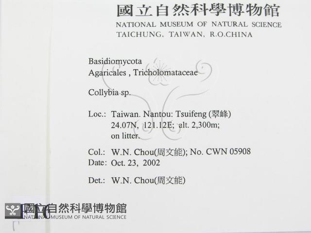 登錄號:F0016376藏品圖，第2張