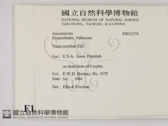 登錄號:F0011376藏品圖，第2張