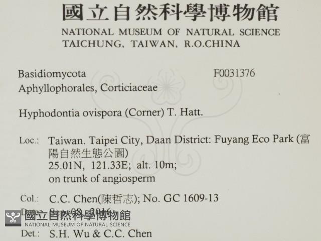 登錄號:F0031376藏品圖，第2張