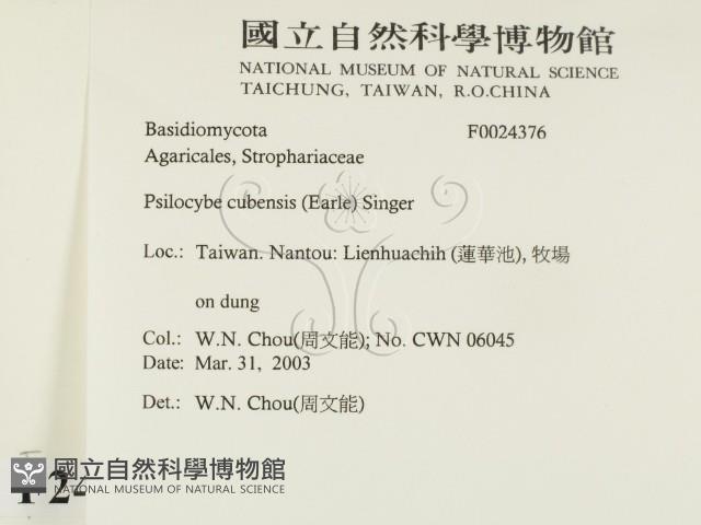 登錄號:F0024376藏品圖，第2張