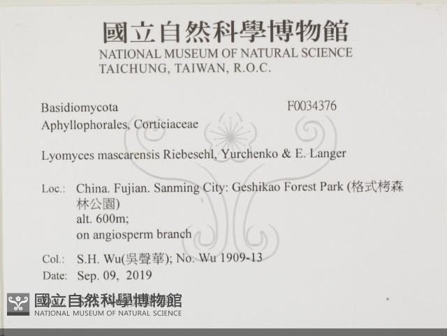 登錄號:F0034376藏品圖，第2張