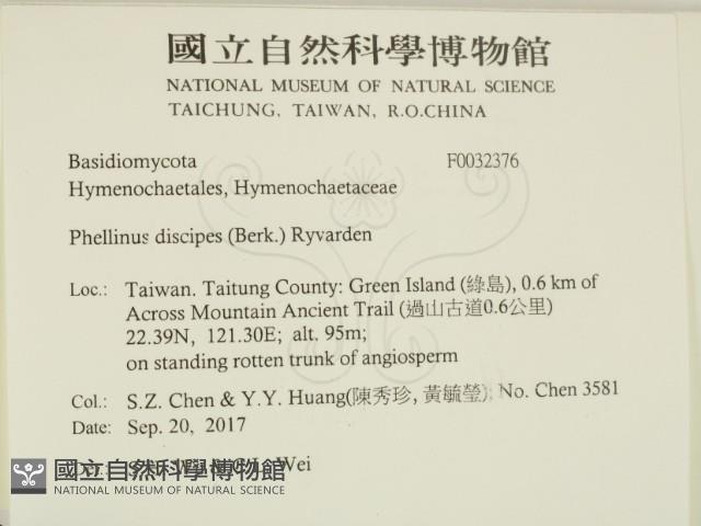 登錄號:F0032376藏品圖，第2張