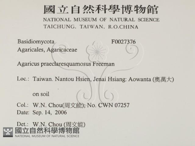 登錄號:F0027376藏品圖，第2張