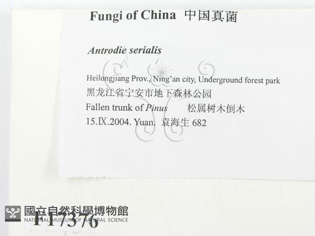 登錄號:F0017376藏品圖，第2張