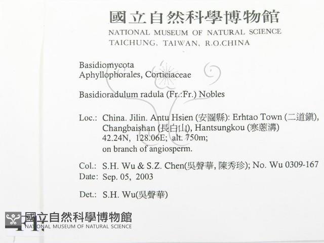 登錄號:F0015376藏品圖，第2張