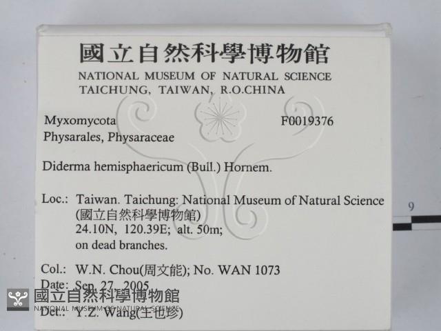 登錄號:F0019376藏品圖，第2張