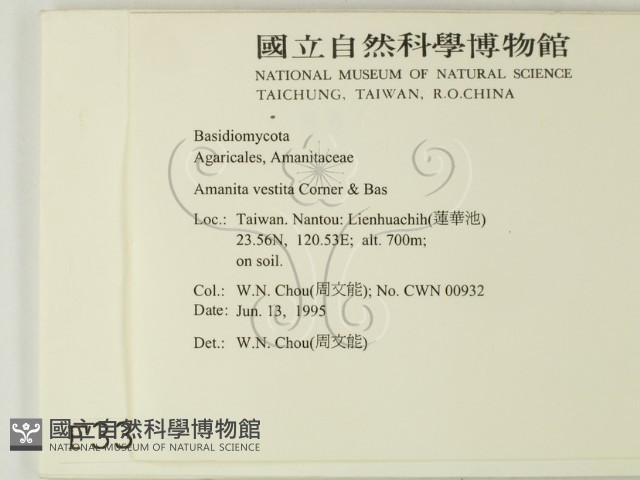 登錄號:F0003376藏品圖，第2張