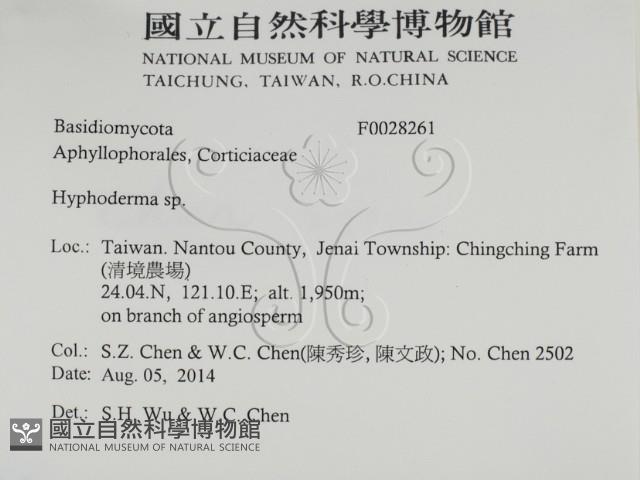 絲皮菌屬藏品圖，第2張