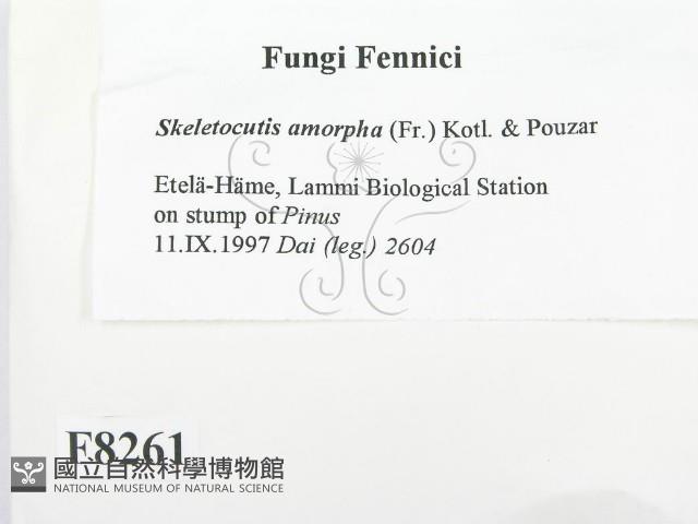 登錄號:F0008261藏品圖，第2張