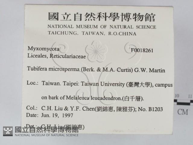 登錄號:F0018261藏品圖，第2張