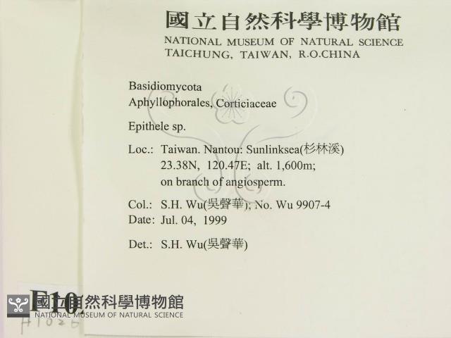 登錄號:F0010261藏品圖，第2張