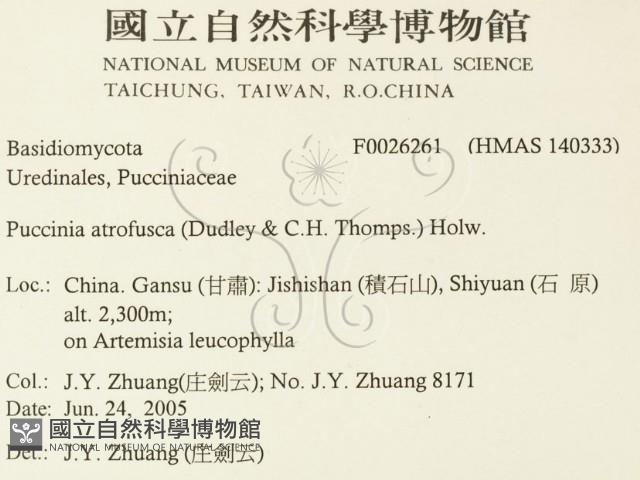 登錄號:F0026261藏品圖，第2張