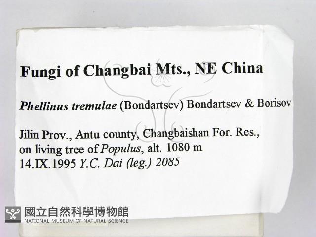 登錄號:F0006261藏品圖，第2張