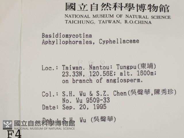 登錄號:F0004261藏品圖，第2張