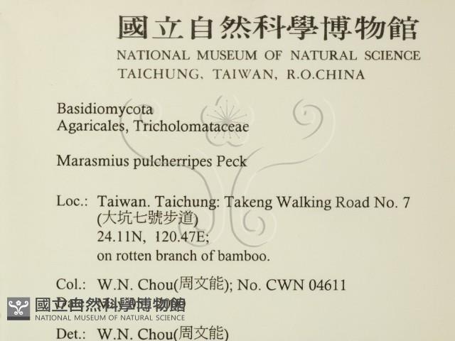 登錄號:F0014261藏品圖，第2張