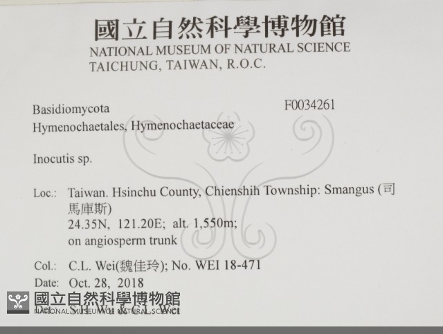 登錄號:F0034261藏品圖，第2張