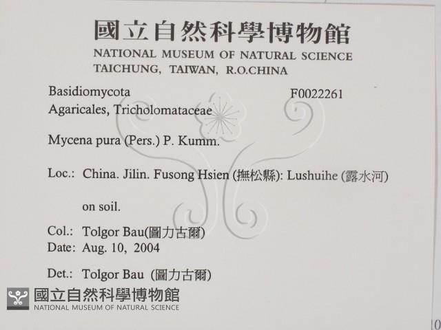 登錄號:F0022261藏品圖，第2張