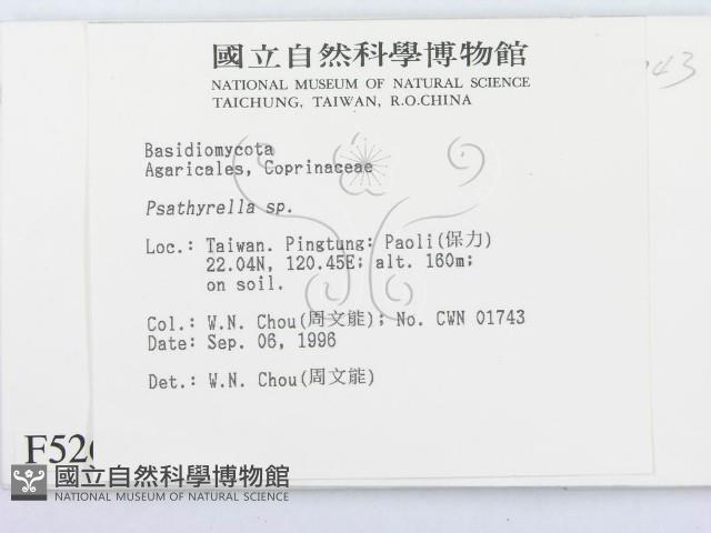 登錄號:F0005261藏品圖，第2張