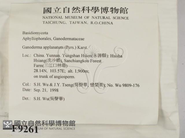 登錄號:F0009261藏品圖，第2張