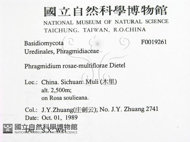 登錄號:F0019261藏品圖，第2張