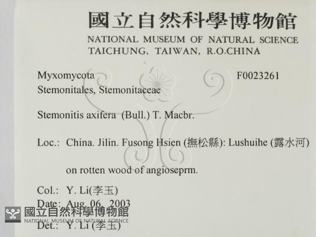 登錄號:F0023261藏品圖，第2張