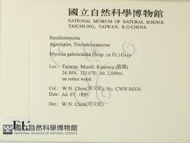 登錄號:F0013261藏品圖，第2張
