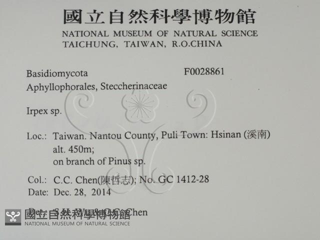 登錄號:F0028861藏品圖，第2張