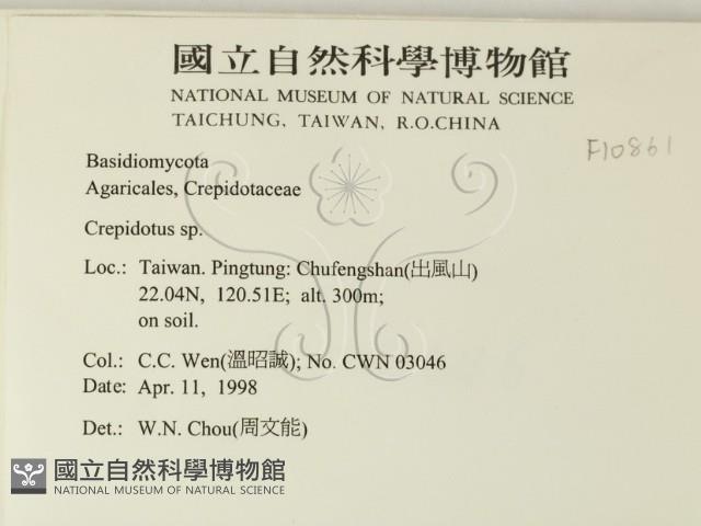 登錄號:F0010861藏品圖，第2張