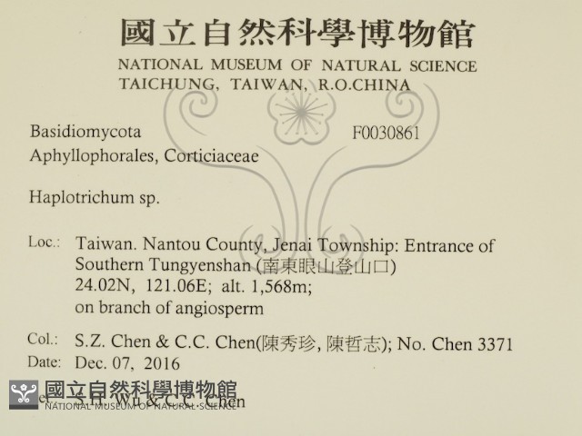 登錄號:F0030861藏品圖，第2張