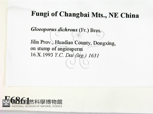 登錄號:F0006861藏品圖，第2張