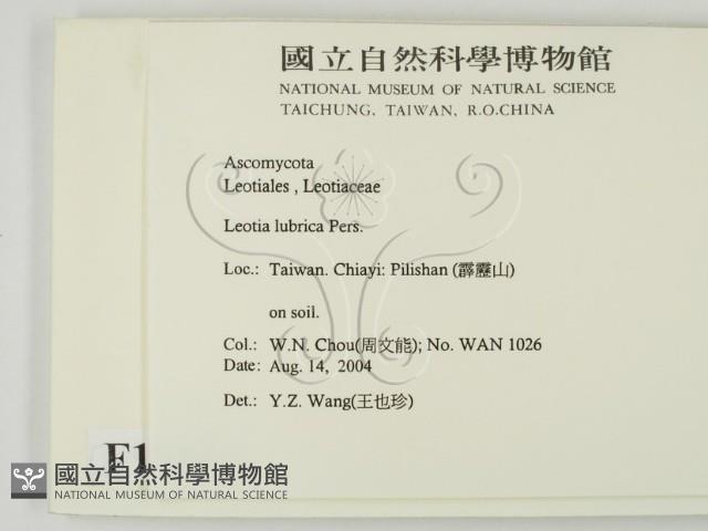 登錄號:F0016861藏品圖，第2張