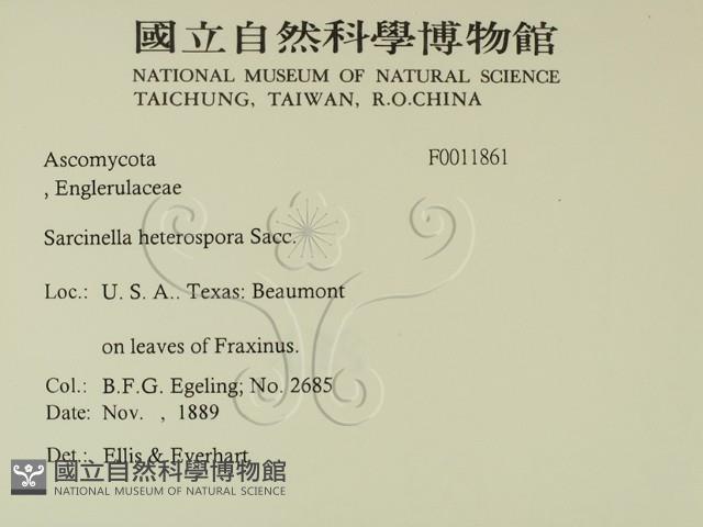 登錄號:F0011861藏品圖，第2張