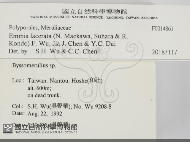 登錄號:F0014861藏品圖，第2張