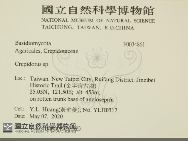 登錄號:F0034861藏品圖，第2張