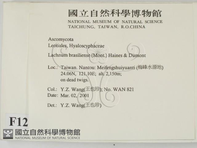 登錄號:F0012861藏品圖，第2張
