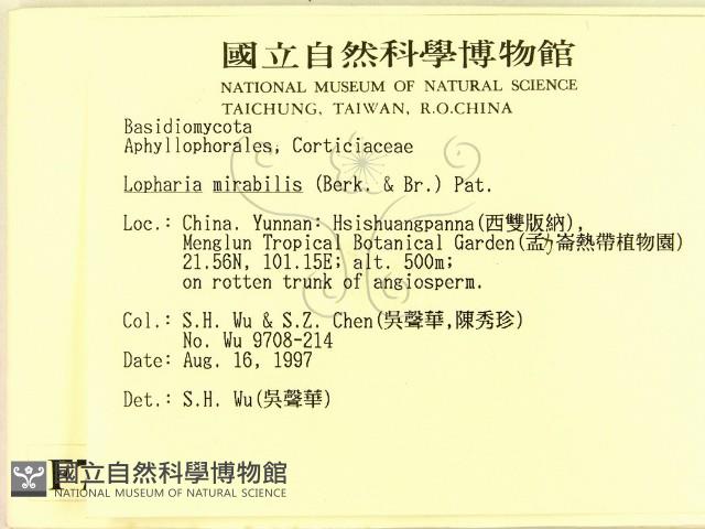 Accession Number:F0007861 Collection Image, Figure 2, Total 2 Figures