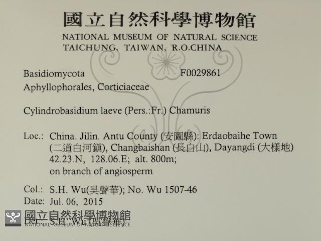 登錄號:F0029861藏品圖，第2張