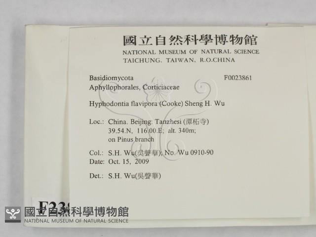 登錄號:F0023861藏品圖，第2張