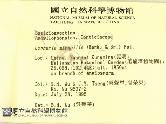 登錄號:F0003861藏品圖，第2張