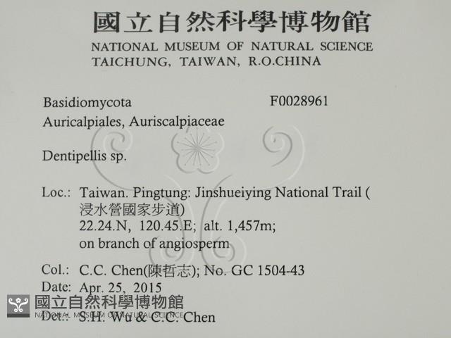 登錄號:F0028961藏品圖，第2張